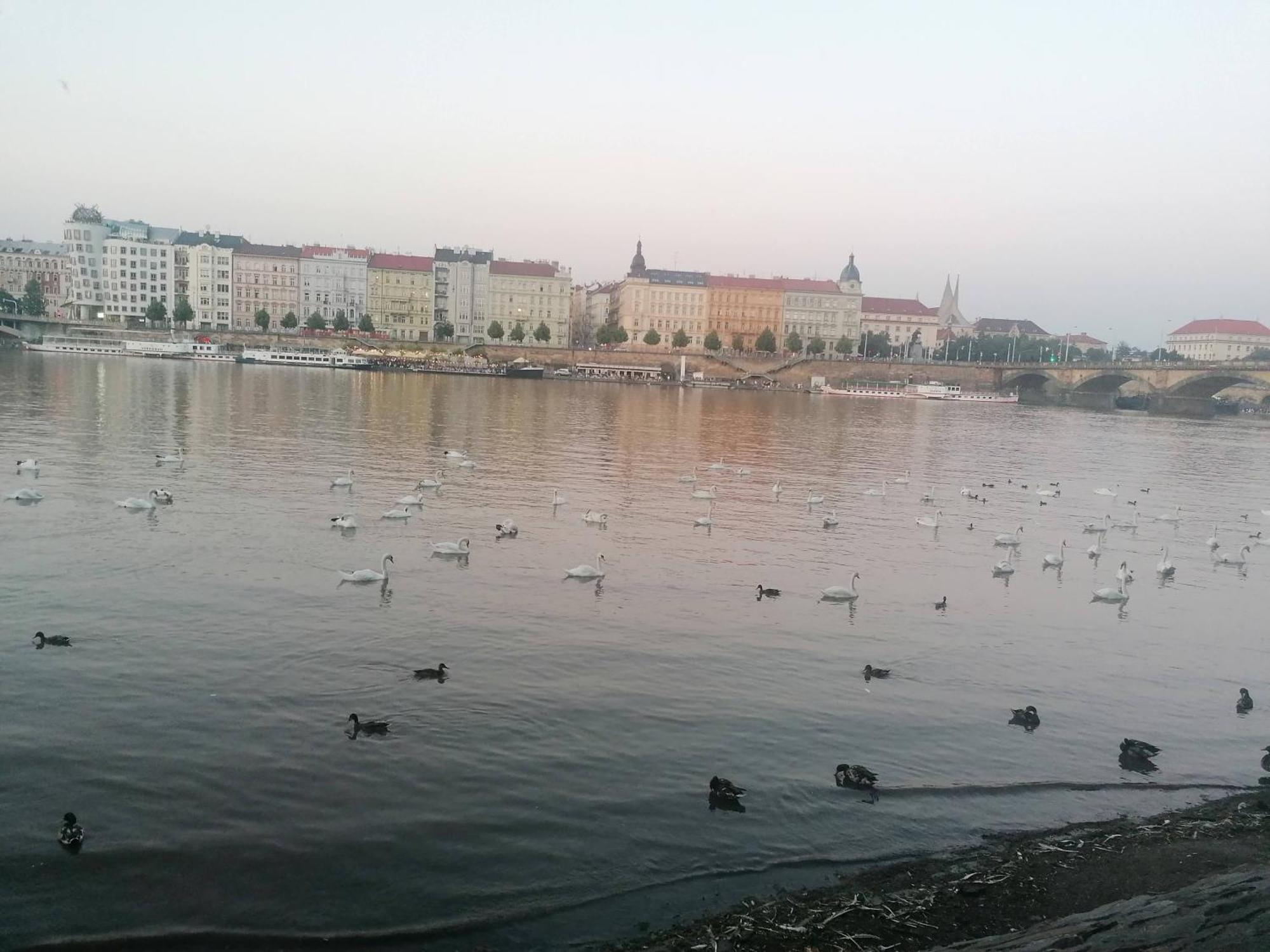 Apartament Valentinka Minutes Away From Charles Bridge Praga Zewnętrze zdjęcie